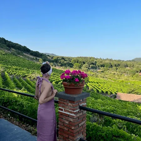 Mondifeso Chalet